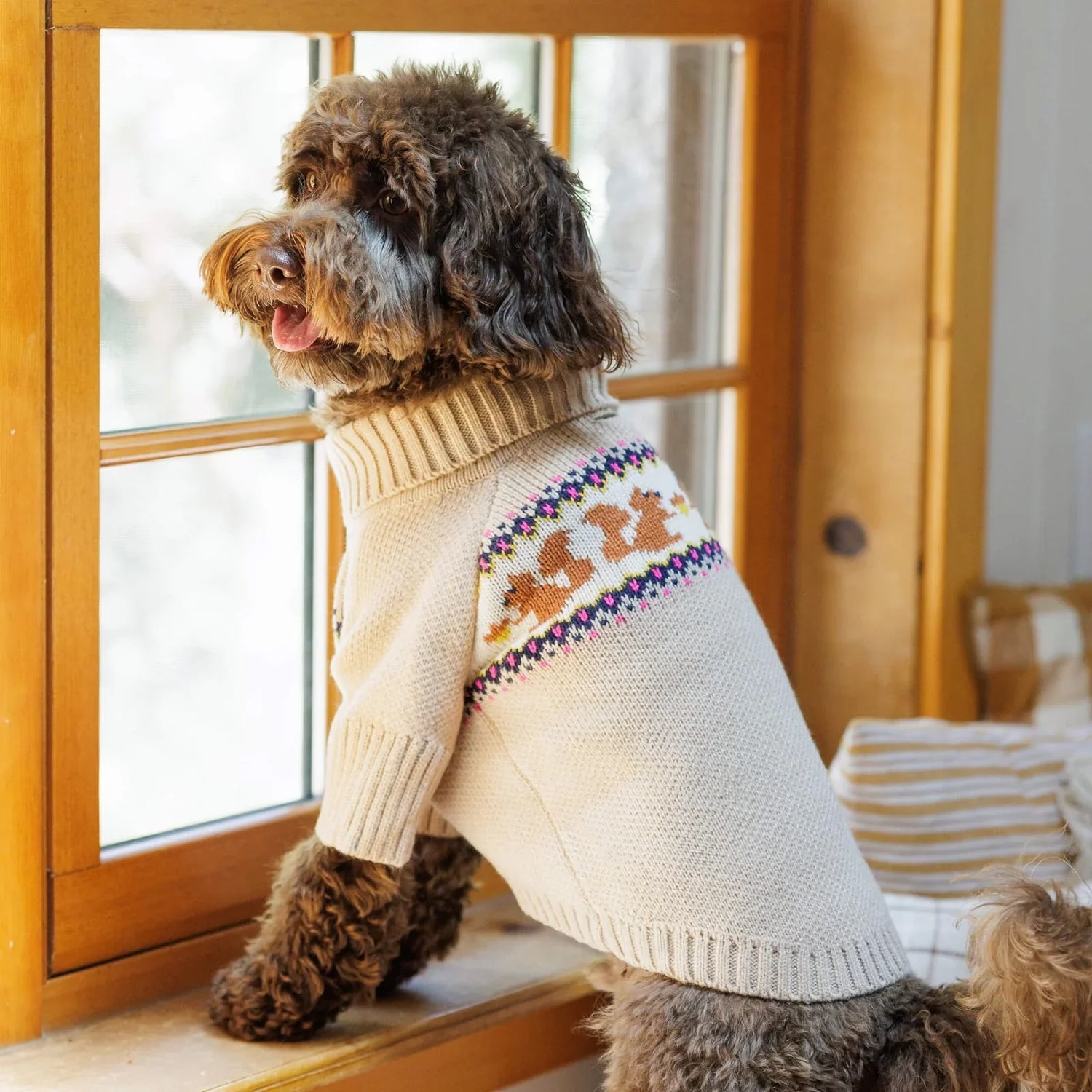 Dog Sweaters