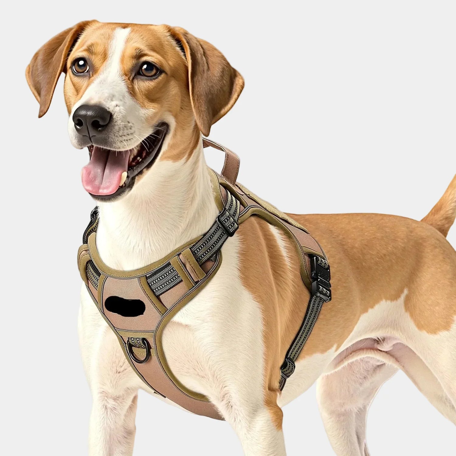 Harnesses