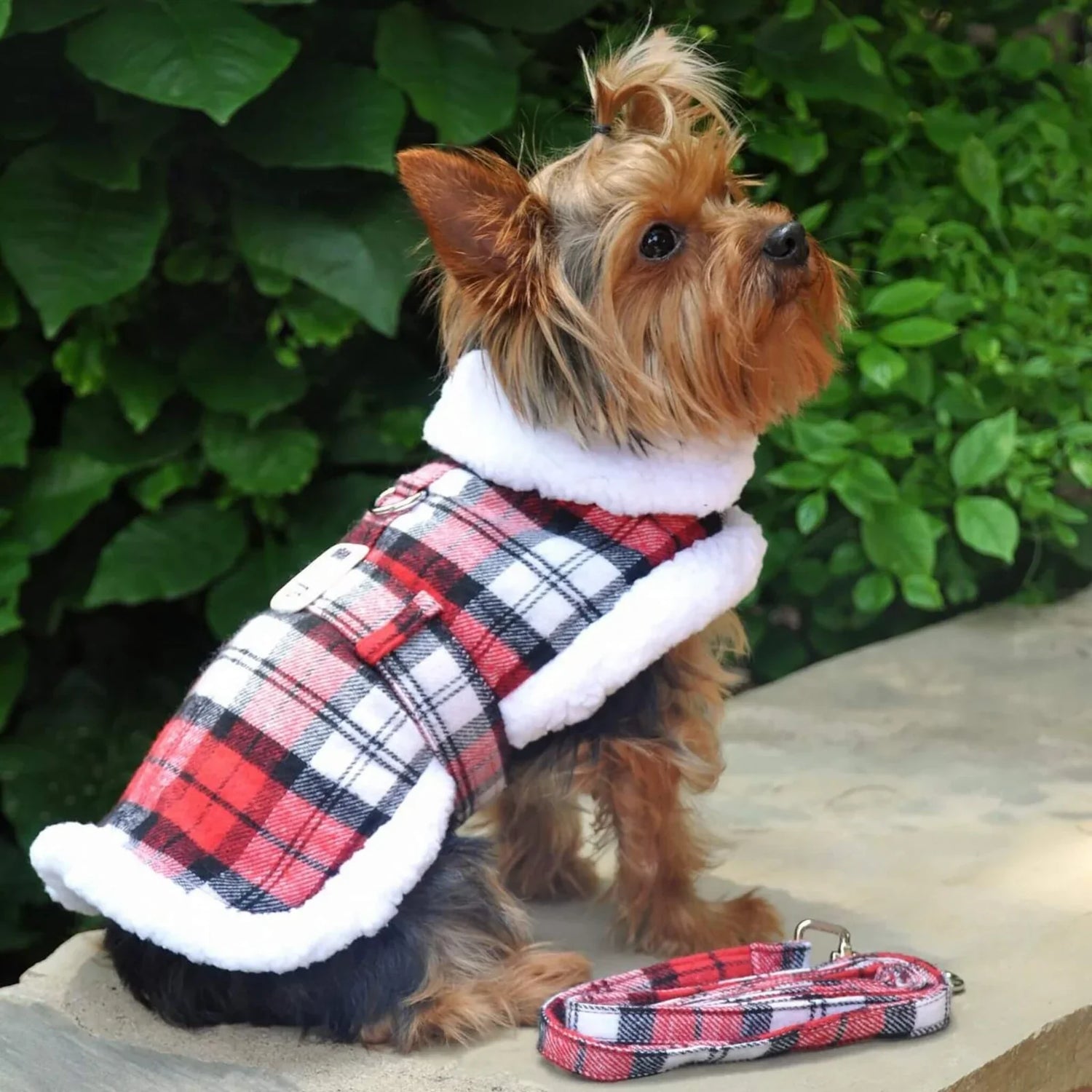 Pet Apparel