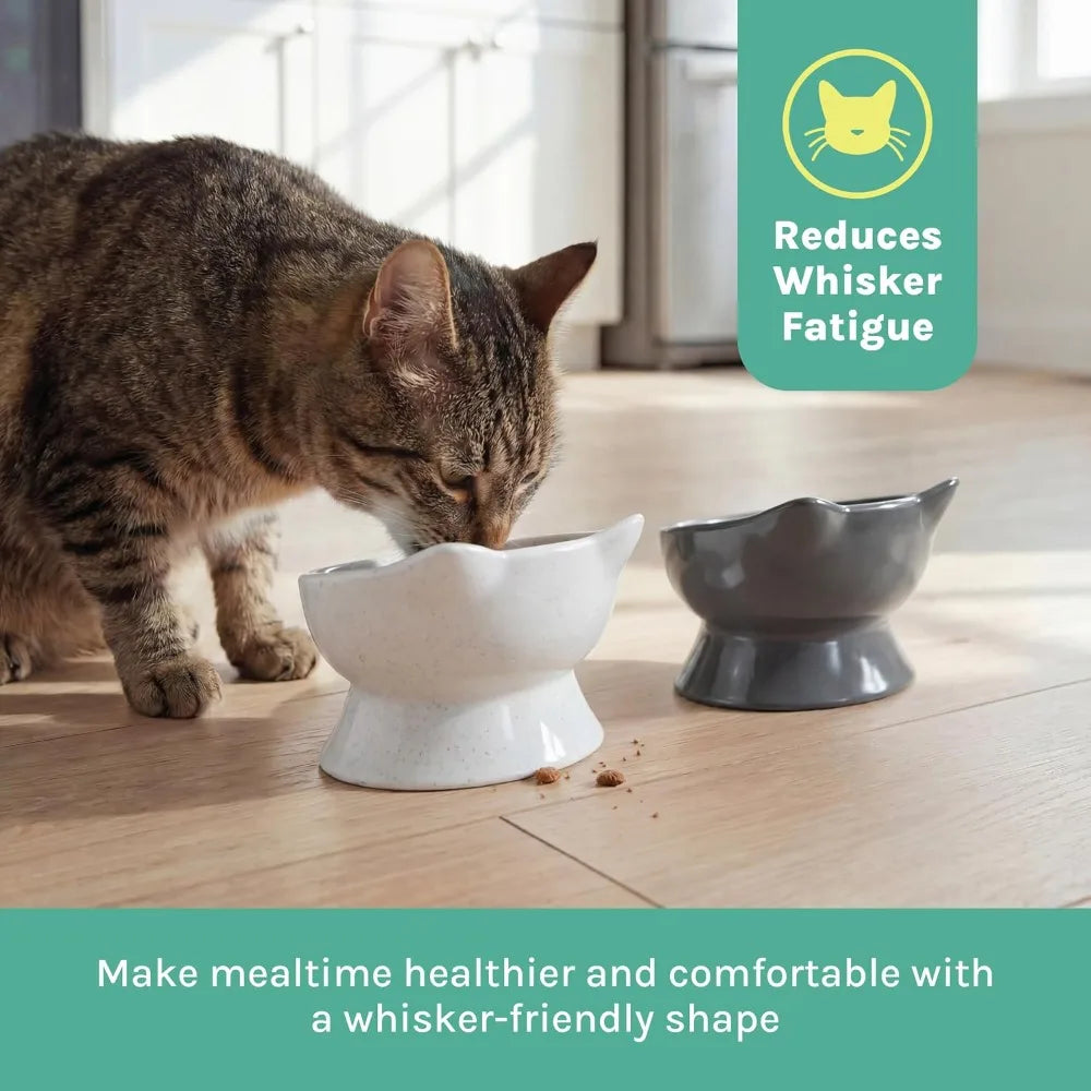 Elevated Cat Bowls Set of 2 Raised Cat Food and Water Dishes Whisker Friendly Pet Bowls Modern Pedestal Design Ceramic Style Feeder for Cats with Shallow Wide Dish to Prevent Whisker Stress Easy to Clean Dishwasher Safe